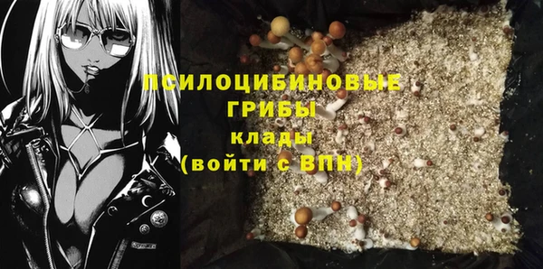 гашик Верхнеуральск
