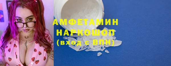 хмурый Верея