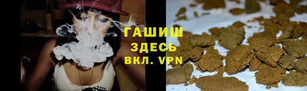 хмурый Верея