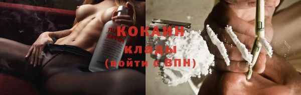 сатива Верхний Тагил