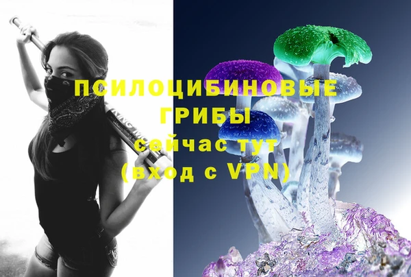 хмурый Верея