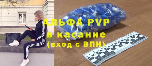хмурый Верея