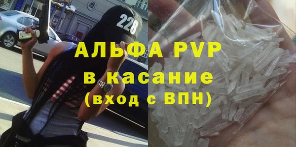 хмурый Верея