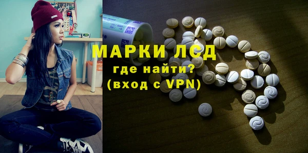 хмурый Верея
