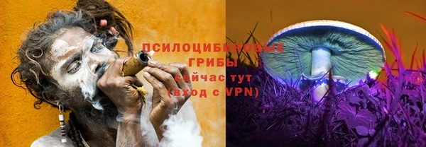 гашик Верхнеуральск