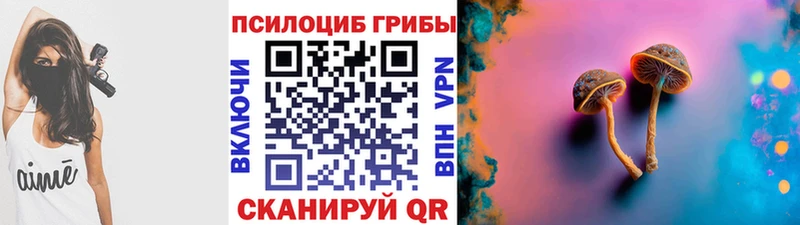 Галлюциногенные грибы GOLDEN TEACHER  kraken как зайти  Гаврилов-Ям 